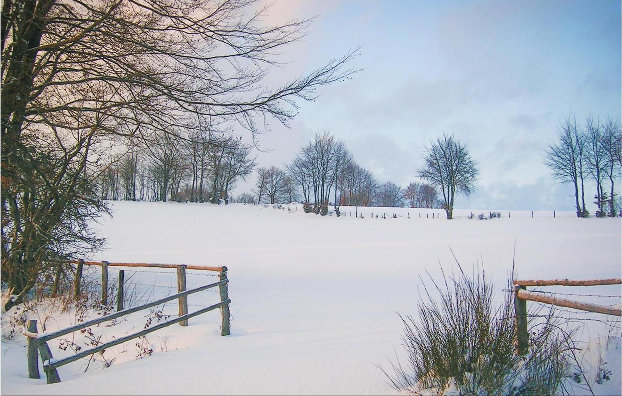 Huenningen Villa Büllingen Eksteriør billede