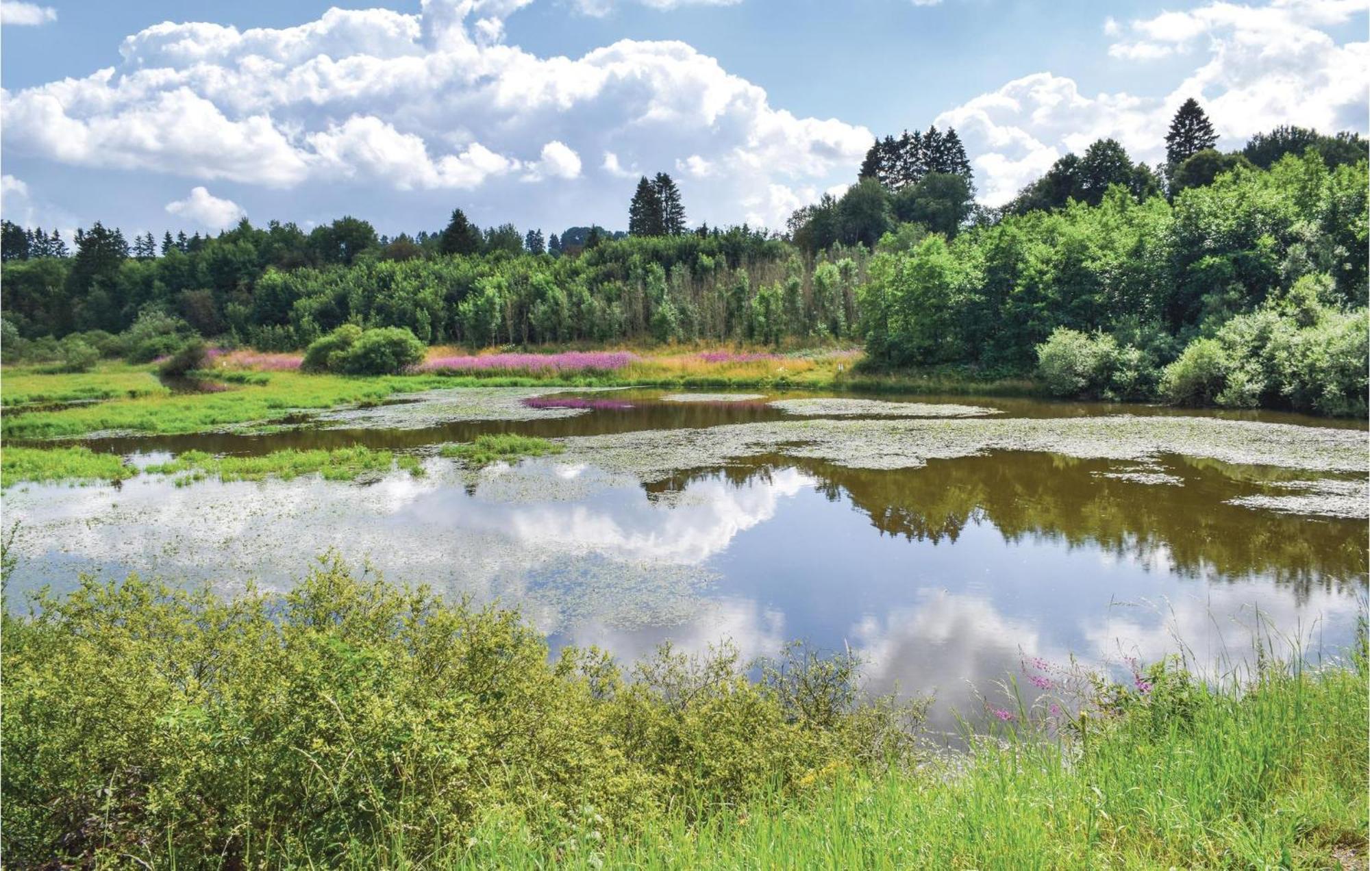 Huenningen Villa Büllingen Eksteriør billede